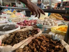 Marché de Volovolo à la Grande Comore Vente de plantes/épices aromatiques et médicinales Source Office national du tourisme Comores